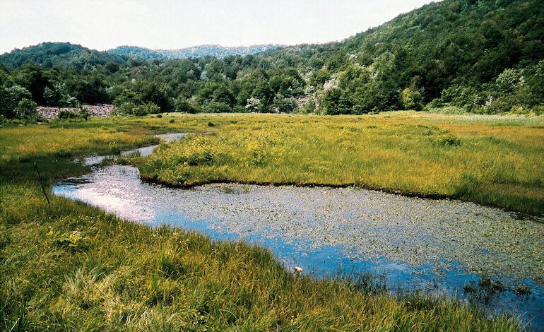 I molti tesori naturali del Parco del Beigua