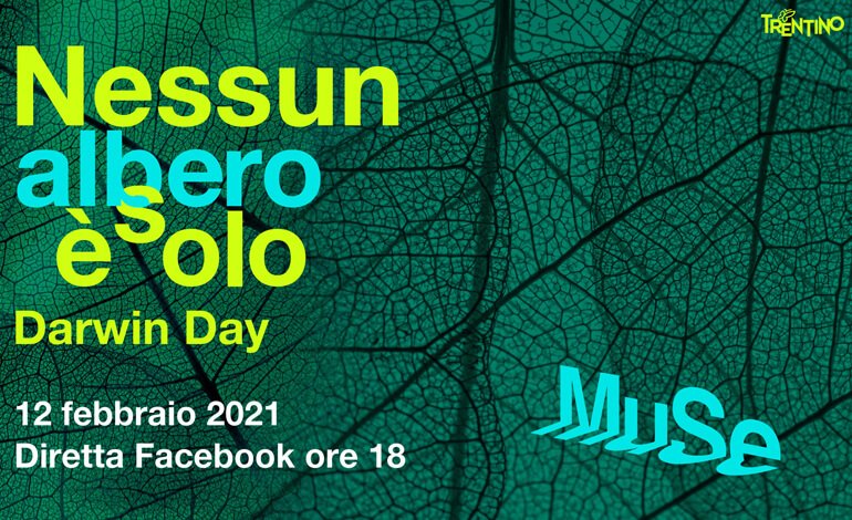 Darwin Day 2021: “Nessun albero è solo”