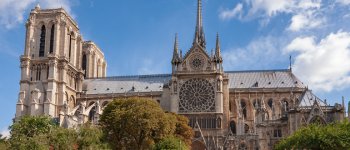 La Francia cerca 1.500 querce secolari per ricostruire Notre Dame