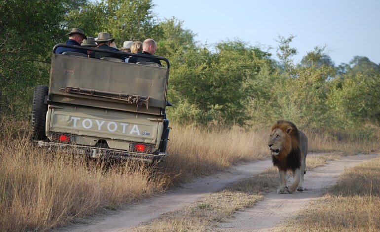 Africa, canned hunting e falsi santuari