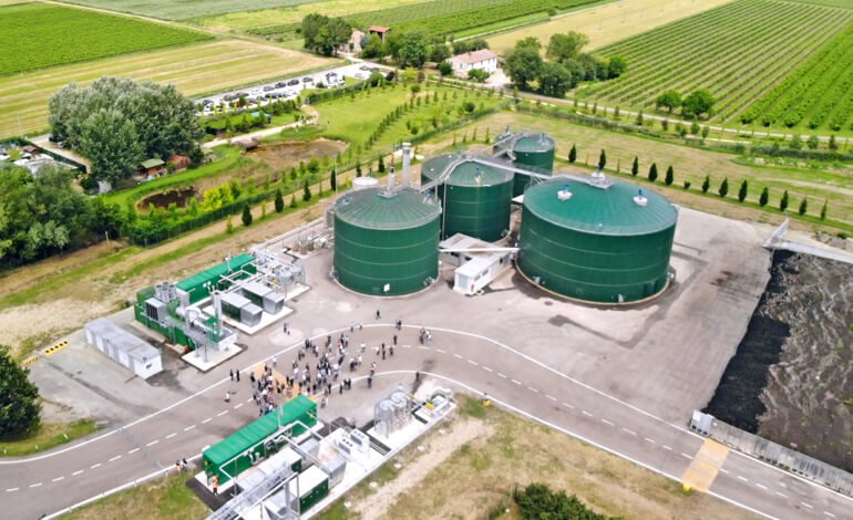 Fertilizzanti naturali nel rispetto dell’ambiente