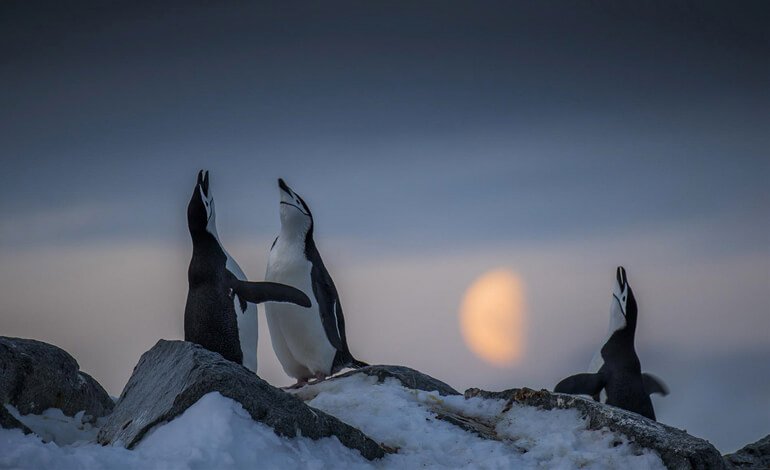 Ultimi giorni per iscriversi al BioPhotoContest 2021