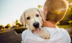Adottare un cucciolo: ecco alcune cose da sapere (prima)