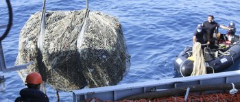 Nuove soluzioni del CNR per rimuovere i rifiuti marini