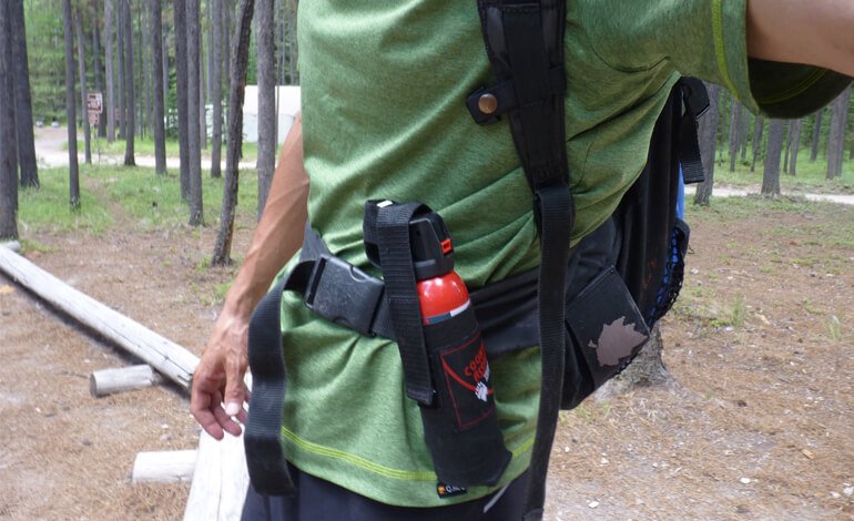 In Trentino è caccia allo spray anti-orso, ma è illegale. L'armiera:  «Comprate le pistole scacciacani» - Open