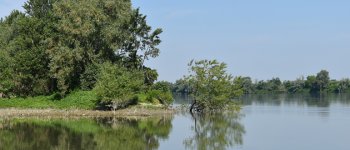 Il progetto di ripristino ambientale del fiume Po