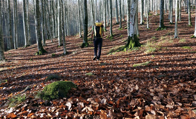 Uomini e foreste in un luogo ricco di storia e spiritualità