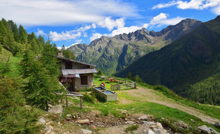 Dai panorami sul Cevedale alle acque della Val di Rabbi