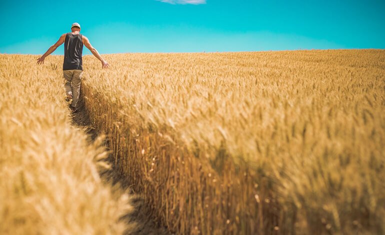 Sicurezza alimentare, la parola agli esperti