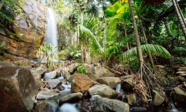 Seychelles porta in vacanza la sostenibilità
