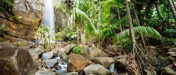 Seychelles porta in vacanza la sostenibilità
