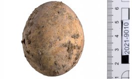 Gli archeologi istraeliani scoprono rarissimo uovo di gallina di 1.000 anni fa