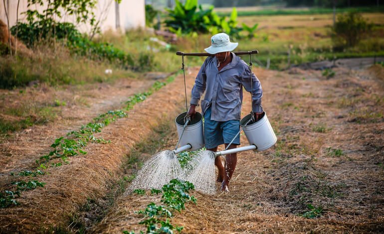 Per avere alimenti sani abbiamo bisogno di un ambiente sano