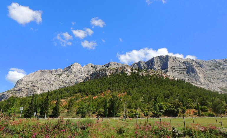 Dove i dinosauri deponevano le uova