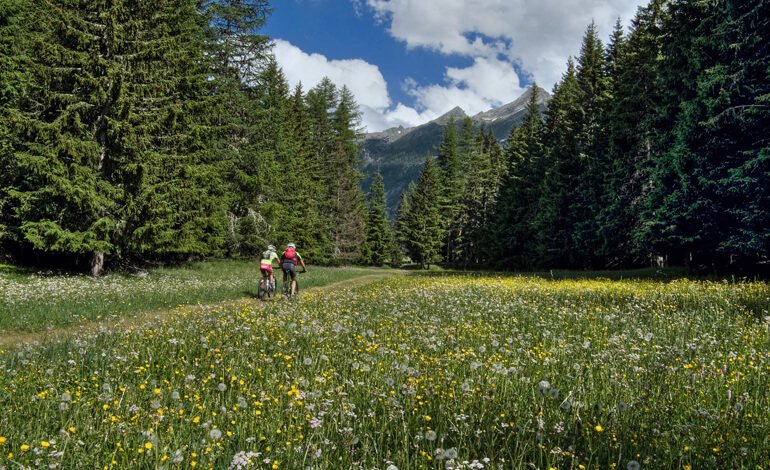 Vacanze sostenibili e sicure con parchiaperti
