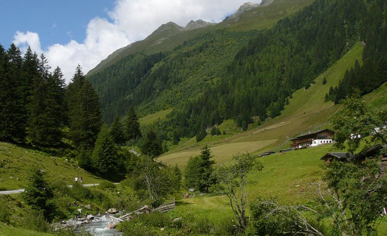 Le Nature Based Solutions, un approccio intelligente e vantaggioso