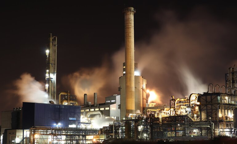 Un cane che si morde la coda