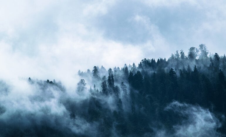 La Natura è una preziosa alleata per affrontare i cambiamenti climatici