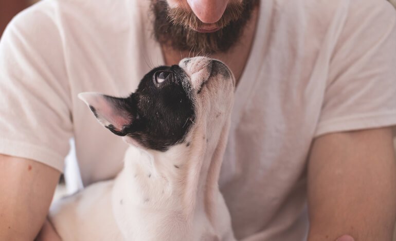 Un giorno per festeggiare un membro speciale della nostra famiglia