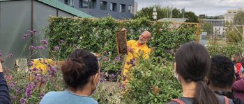 Le api protagoniste a Milano di un progetto di bio-monitoraggio