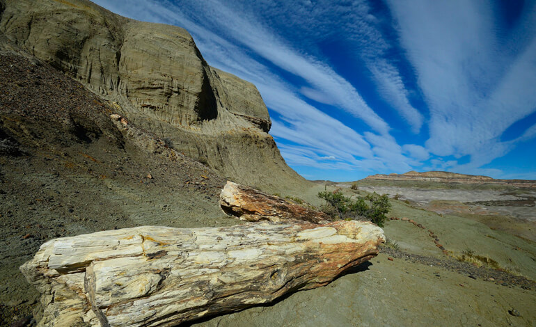 La foresta pietrificata della Patagonia