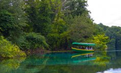 Il lago di Ocrida nasconde il segreto della resilienza delle foreste ai cambiamenti climatici