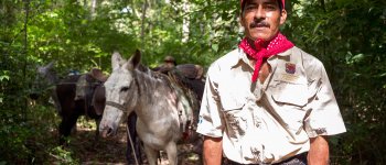 Dalle foreste del Guatemala una possibile soluzione contro incendi e crisi climatica