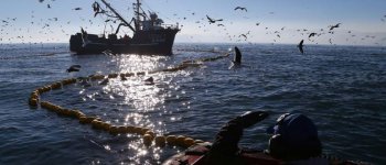 La sostenibilità planetaria della pesca per la conservazione degli ecosistemi