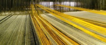 Le fibre tessili possono salvare le foreste del mondo?