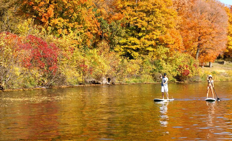 SUP: come praticarlo senza disturbare… la Natura