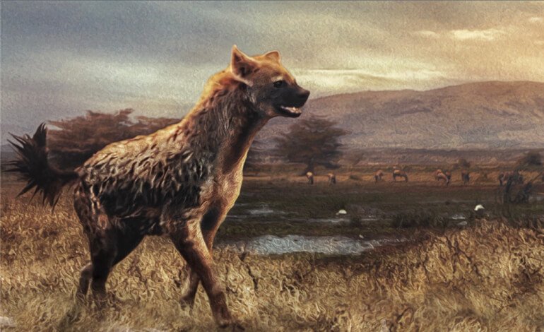 Perché si è estinta la iena gigante Pachycrocuta brevirostris?