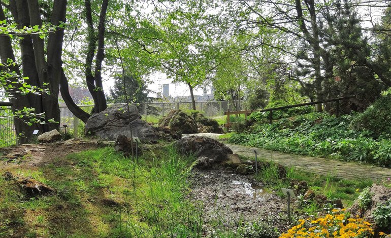 Un illustre botanico mi disse… La mostra intitolata a Lorenzo Rota