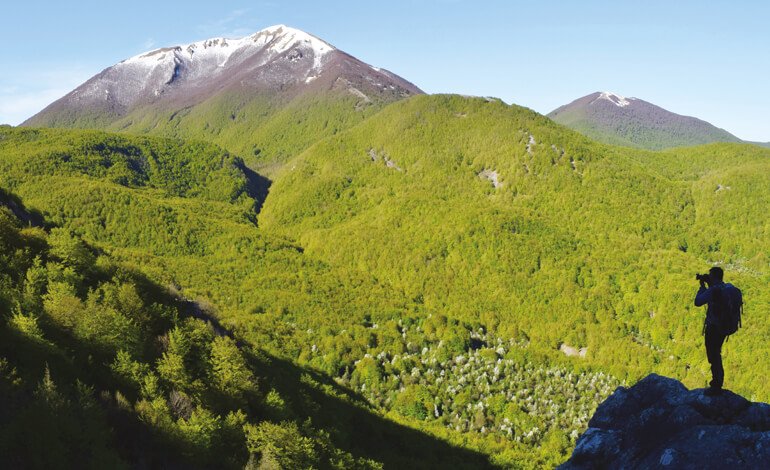 Nel cuore del Pollino, nel regno del pino loricato