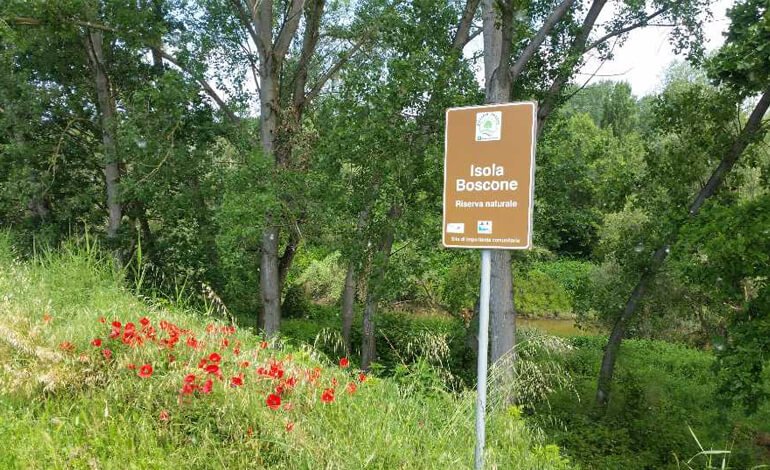 L’ambiente insegnato ai bambini