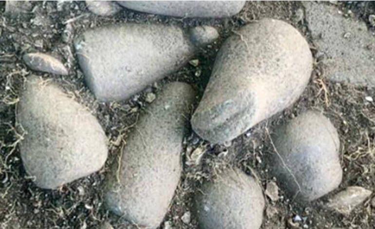 Scoperto un raro abitato di età arcaica nelle isole del Centro America