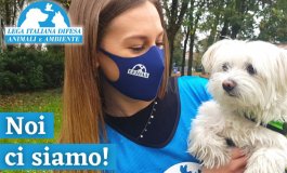 Volontari in tutta Italia per sostenere gli animali di chi soffre