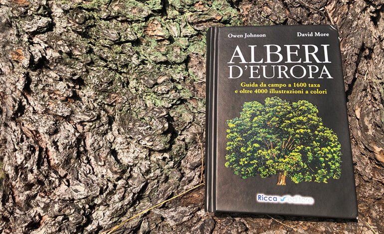 È uscito un nuovo vademecum per riconoscere le principali famiglie di alberi d’Europa