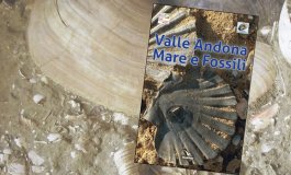 Valle Andona, mare e fossili