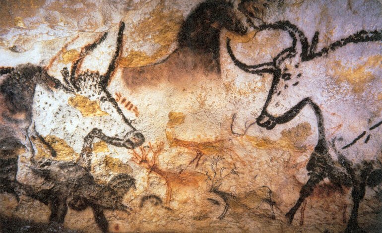 L’evoluzione dell’uomo non è legata a una dieta carnivora