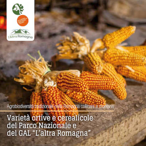 Semi e varietà perdute 