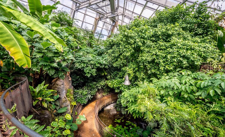 Ha finalmente riaperto la serra tropicale montana di Trento
