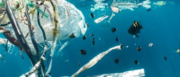 Petizione al Ministro per la raccolta della plastica alla foce dei fiumi