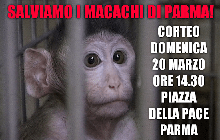 sperimentazione sugli animali