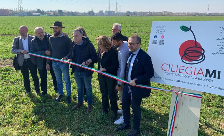 Al Parco Nord Milano nasce CiliegiaMi, il self service della ciliegia