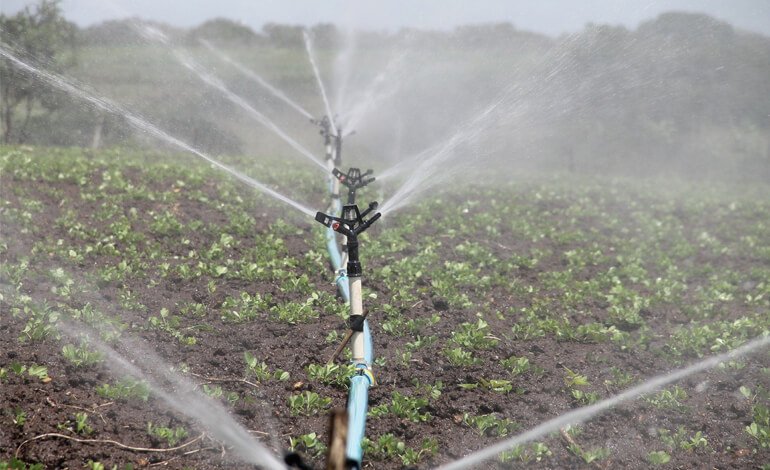 Come gli italiani affrontano la crescente scarsità di acqua