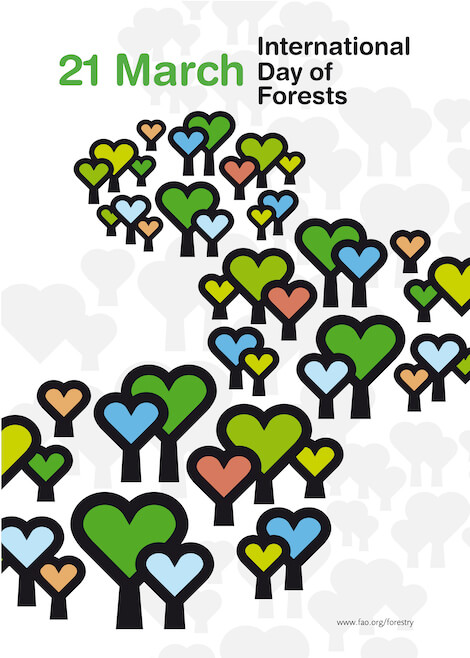 FAO foreste FAO foreste