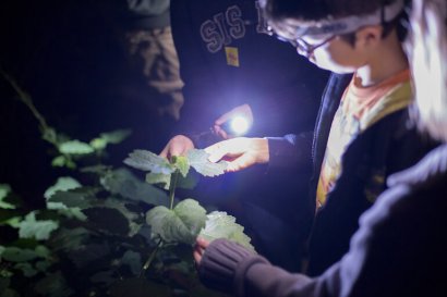 “Notti più scure, futuro più luminoso” al MUSE.