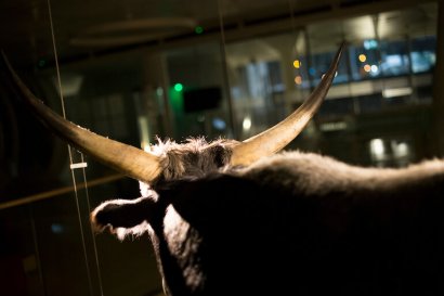 “Notti più scure, futuro più luminoso” al MUSE.