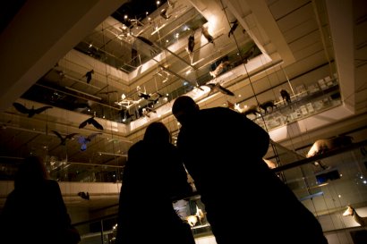 “Notti più scure, futuro più luminoso” al MUSE.