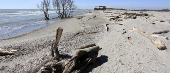 La fauna marina dell’Adriatico tra cambiamenti climatici e attività umane